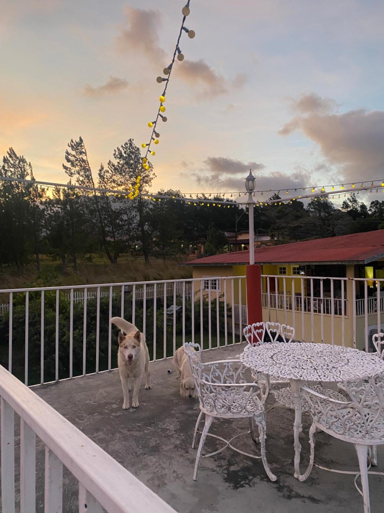 Volcano Pines Retreat Apartment Alto Boquete Exterior photo